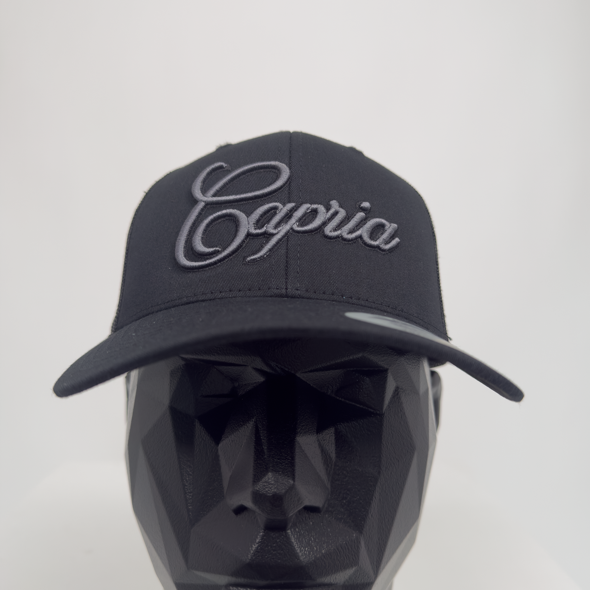 Capria Black & Grey Cap