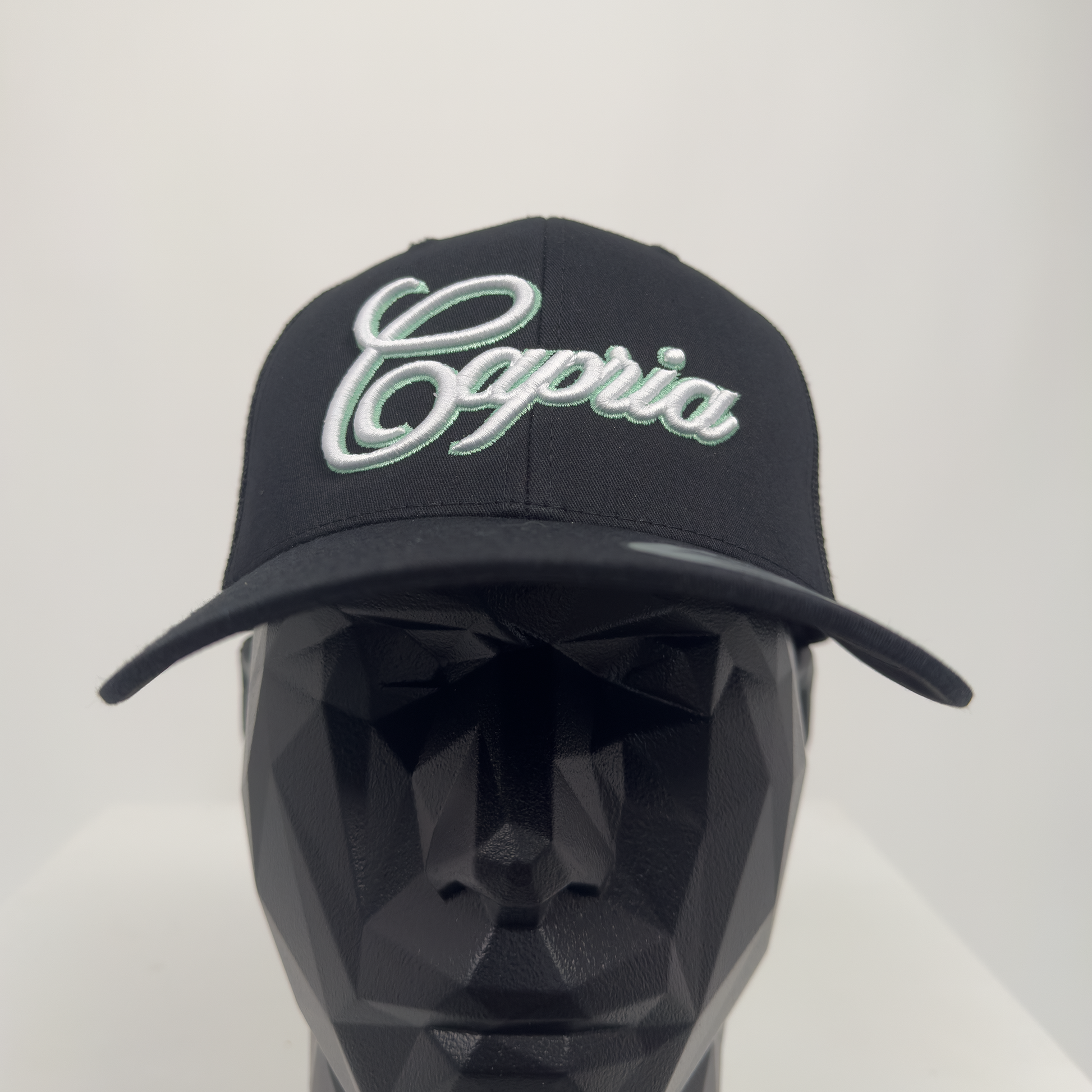 Capria Black & Teal Cap