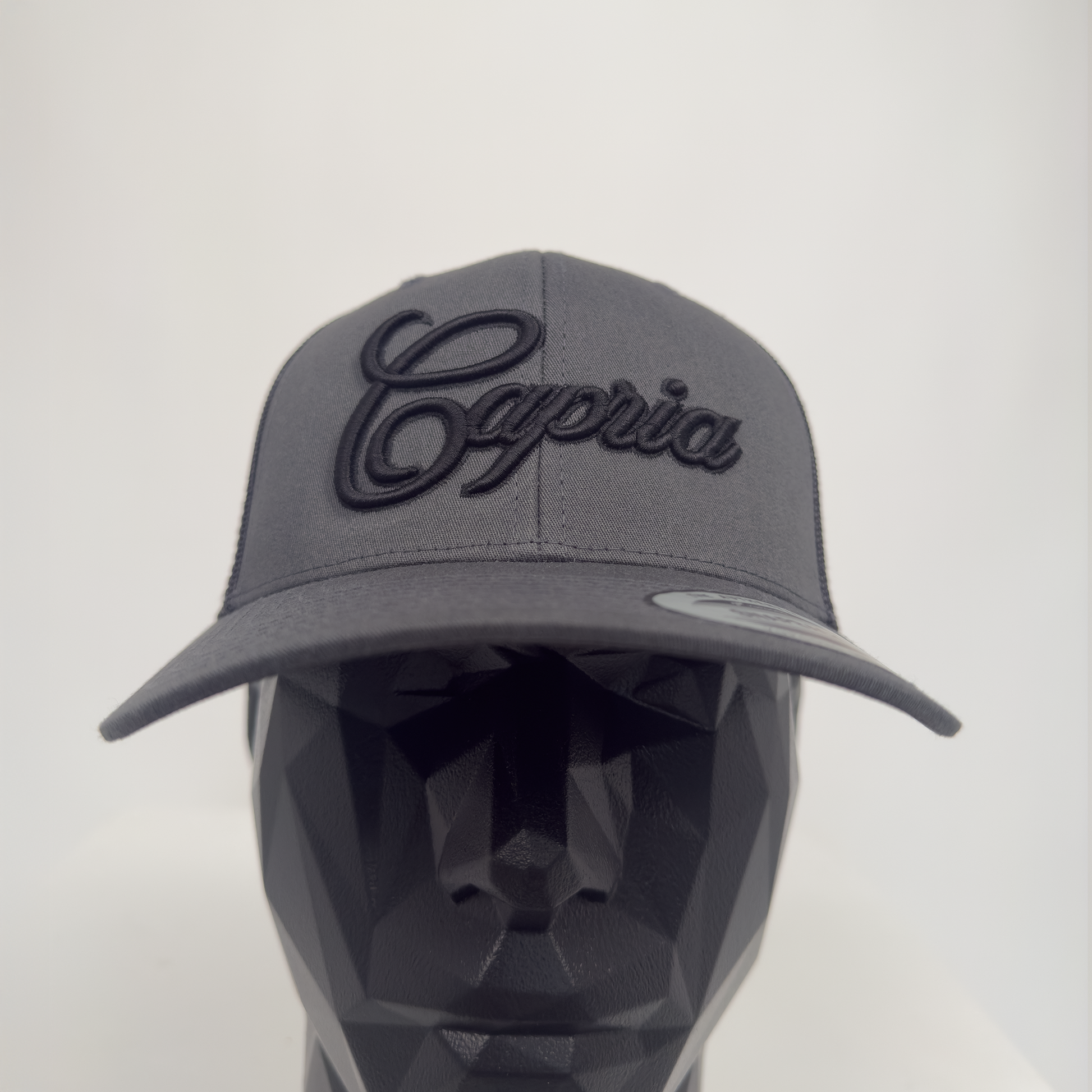 Capria Grey & Black Cap