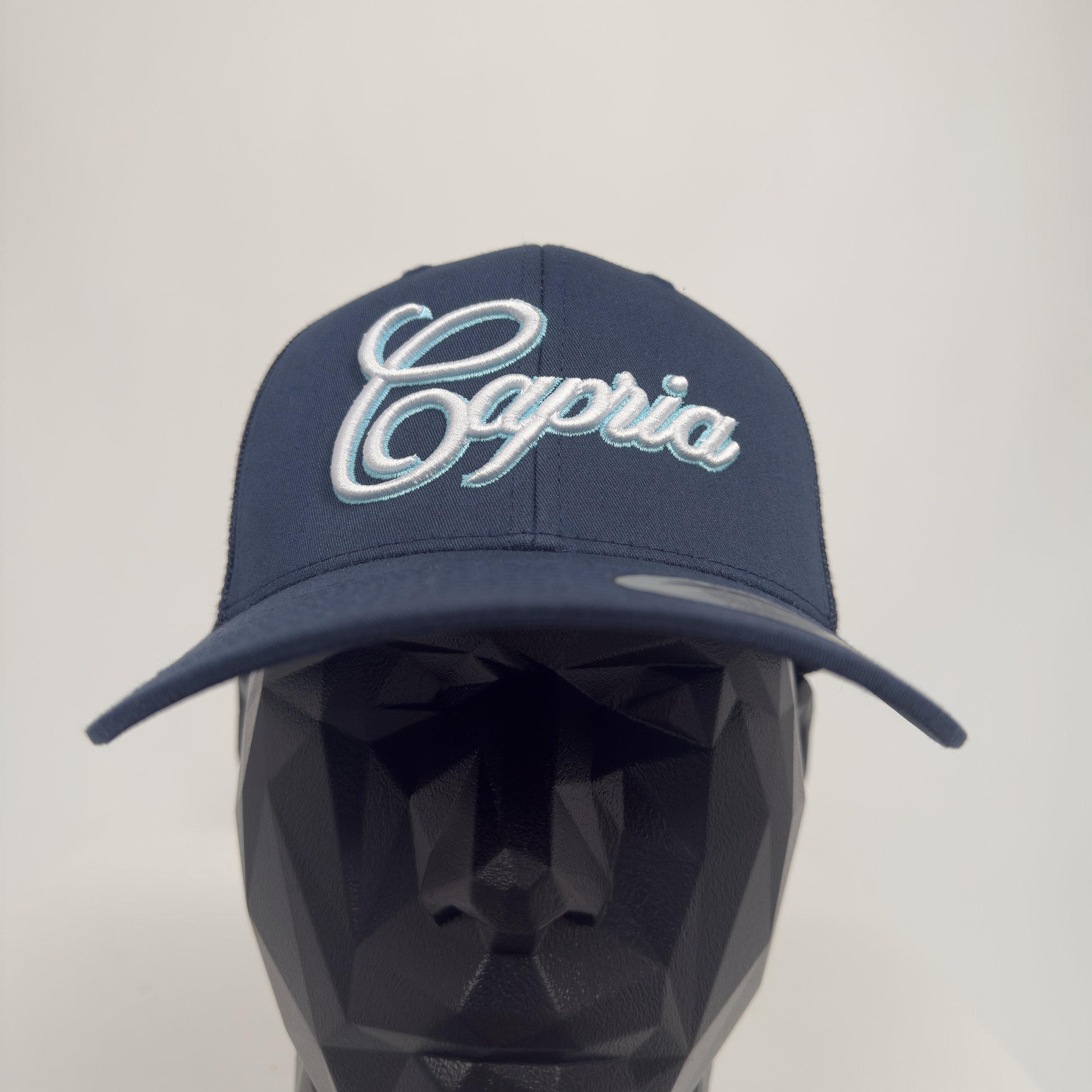 Capria Navy & Light Blue Cap